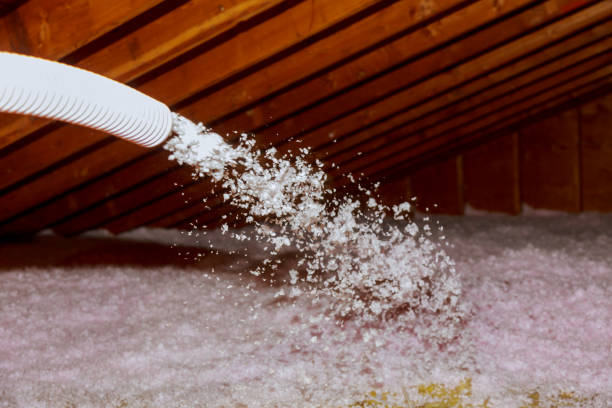 Best Energy Efficiency Solutions in Brooklyn, IA